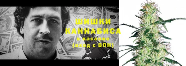 молекула духа Михайлов