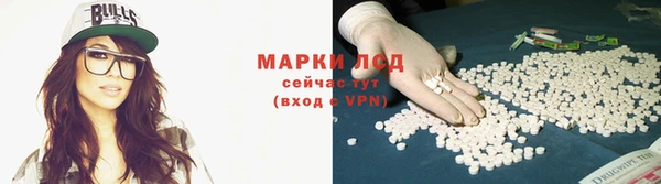 молекула духа Михайлов