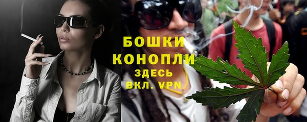 молекула духа Михайлов