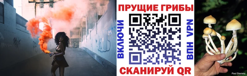 где купить   Невьянск  Псилоцибиновые грибы мухоморы 
